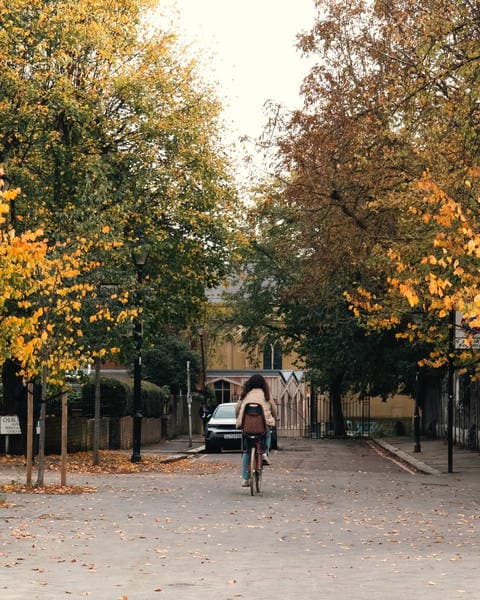 Autumn rides hit different in Walthamstow. Park...